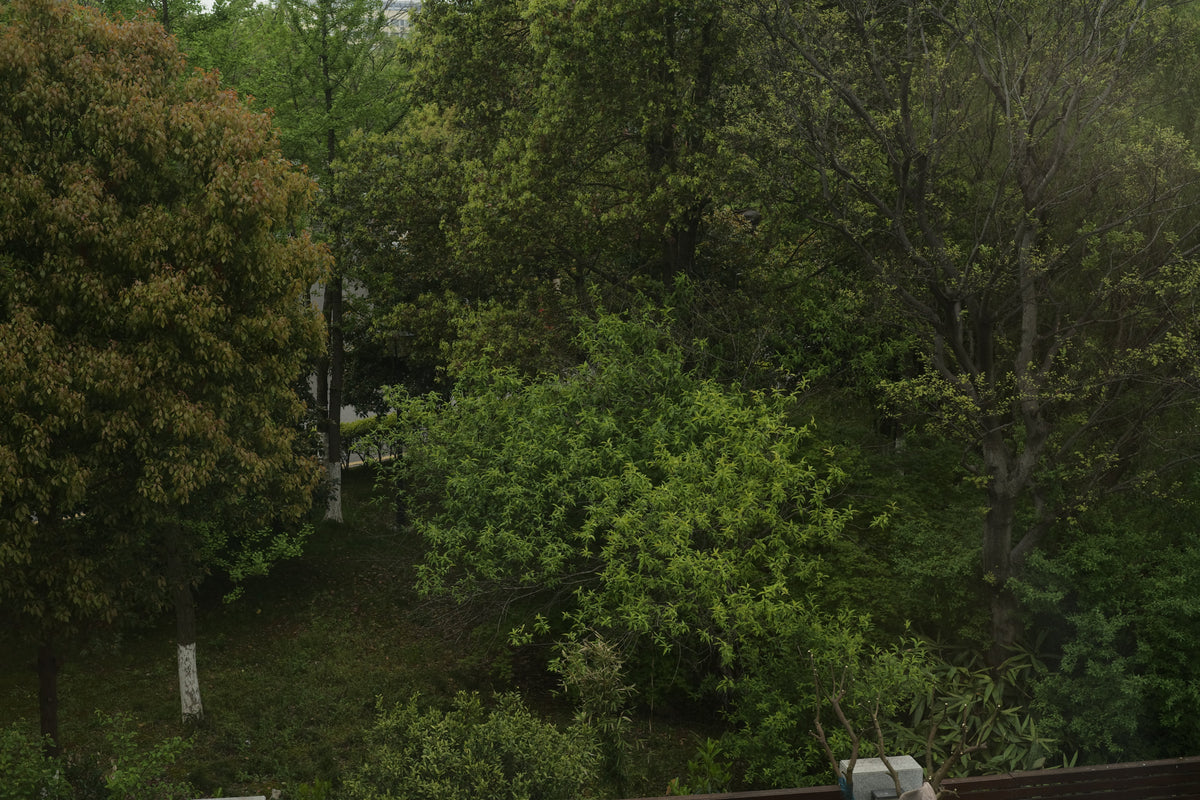 A Final Toast to Spring