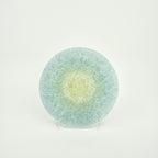Glass Plate Large