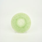Glass Plate Large