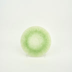 Glass Plate