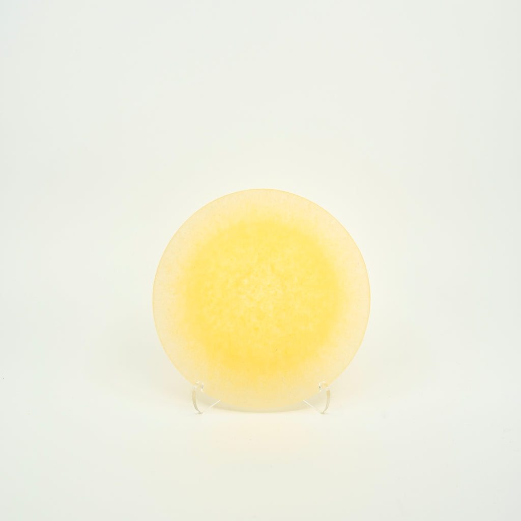 Glass Plate