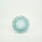 Glass Plate