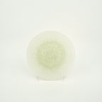 Glass Plate Large