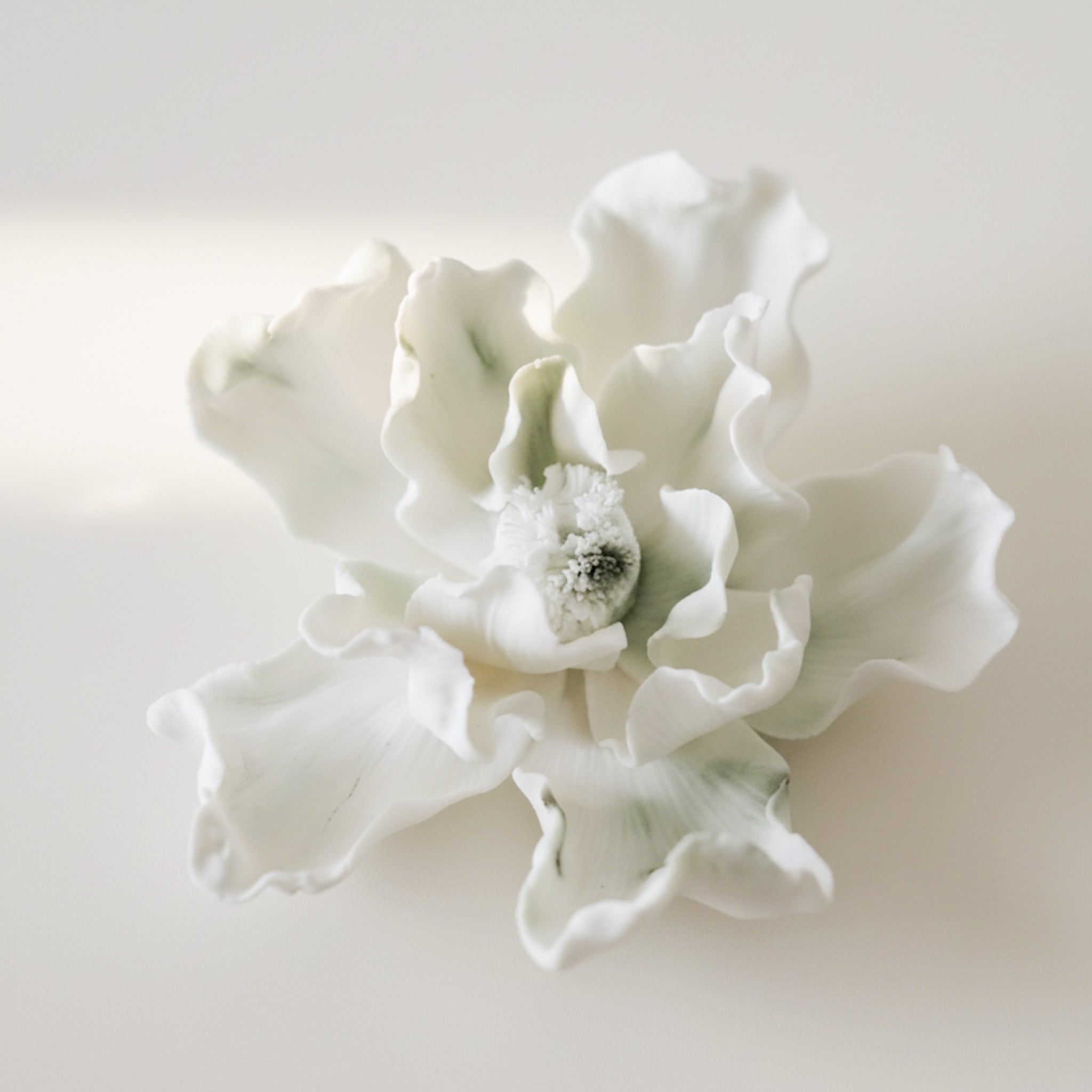 Still Bloom No. 1 –– Incense Holder