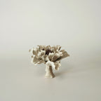 Floral Incense Holder No.5