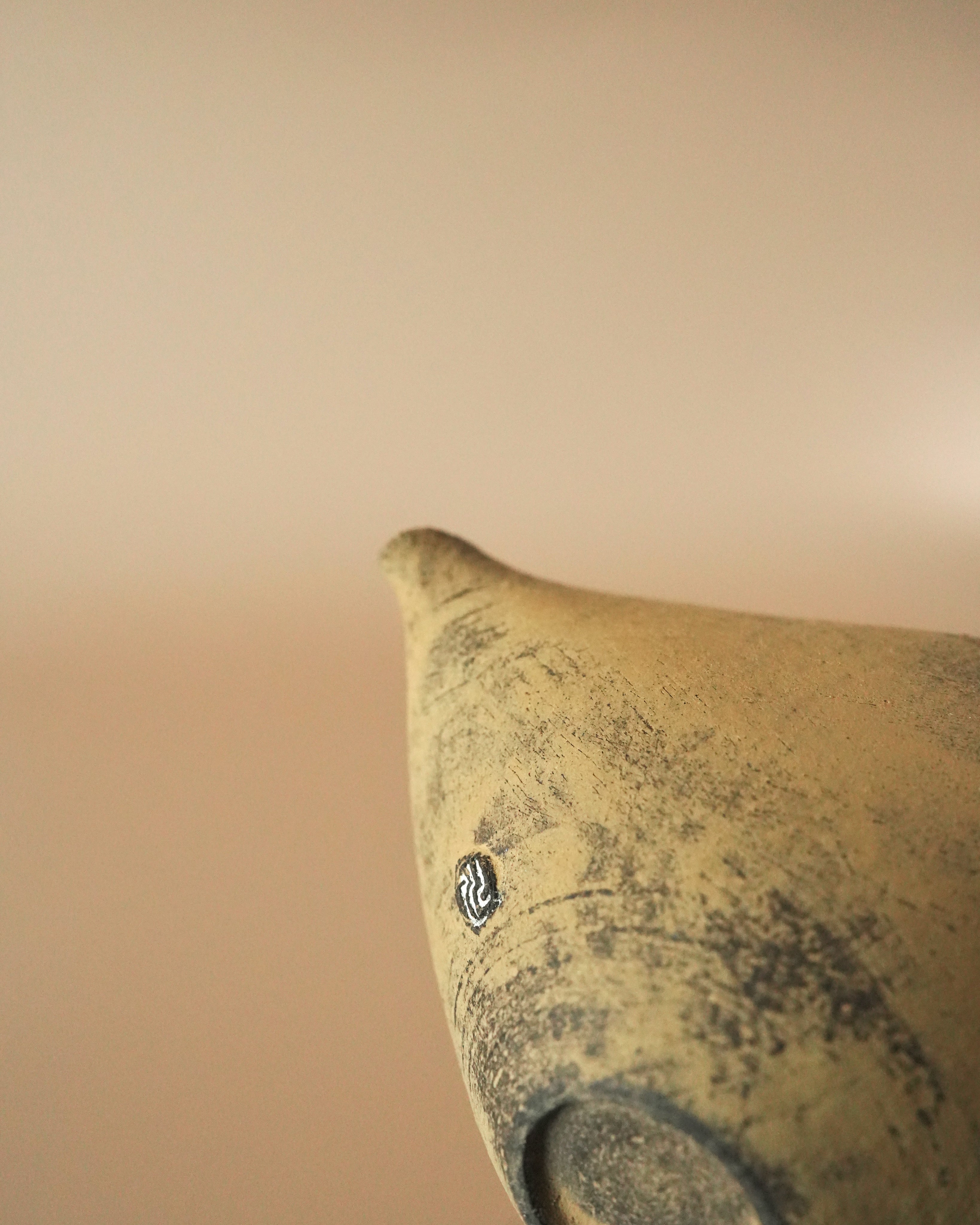 Ceramic Sharing Cup
